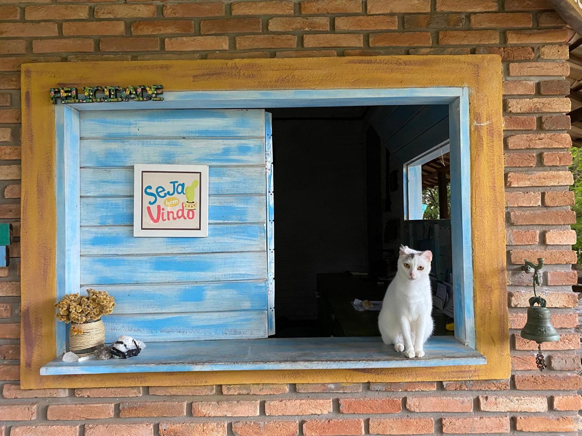 Отель Refugio Do Corsario-Imbassai-Ba Экстерьер фото